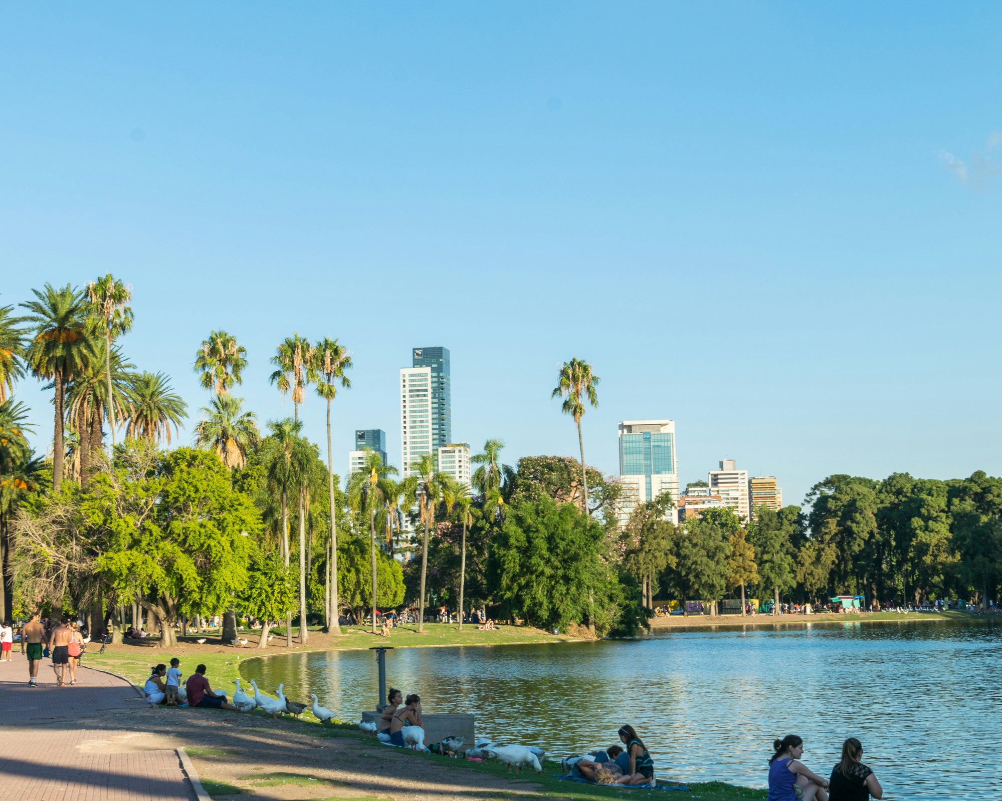 See in den Bosques de Palermo mit Palmen und Skyline