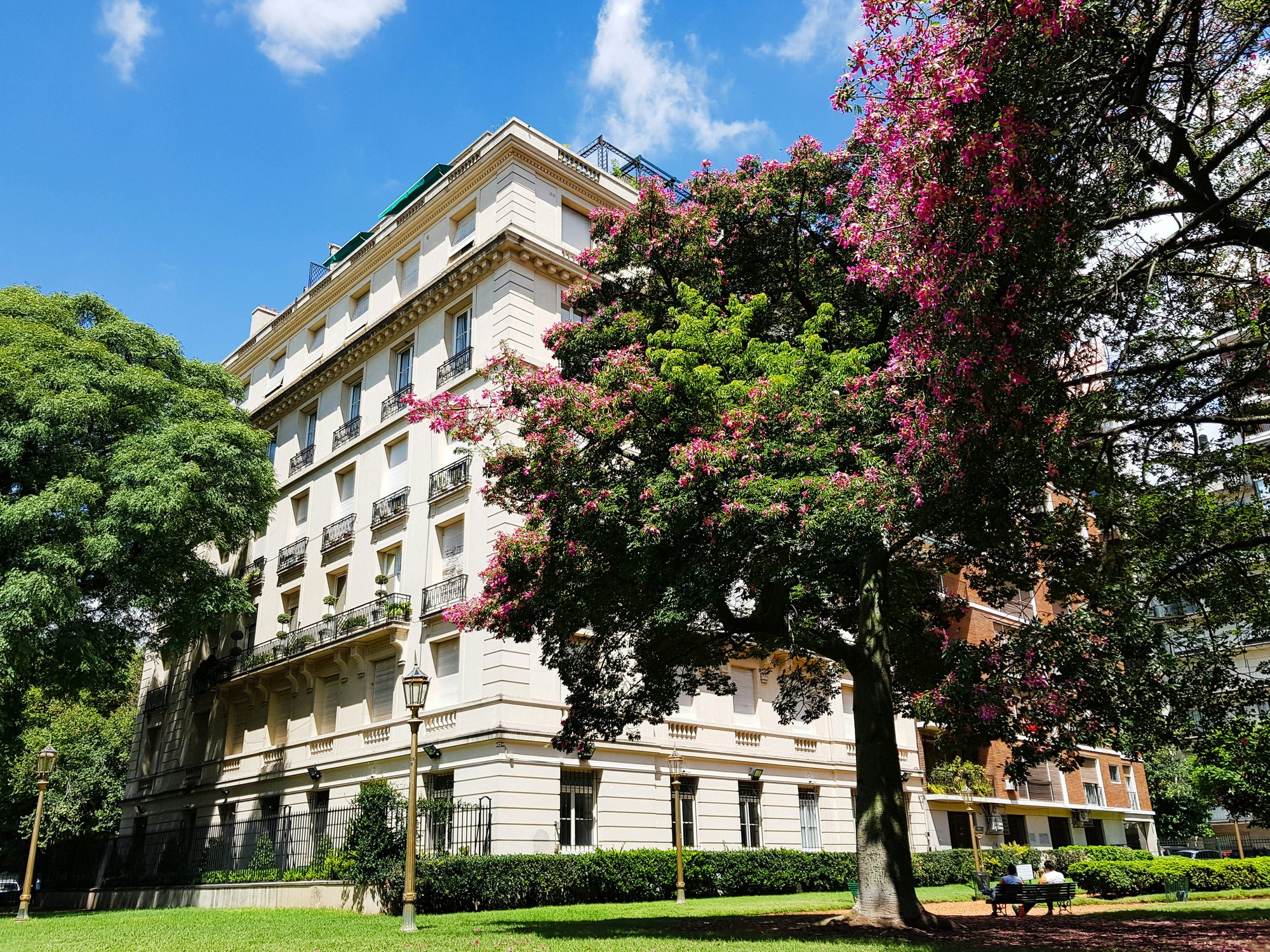 Heller Altbau am Park mit blühendem Baum